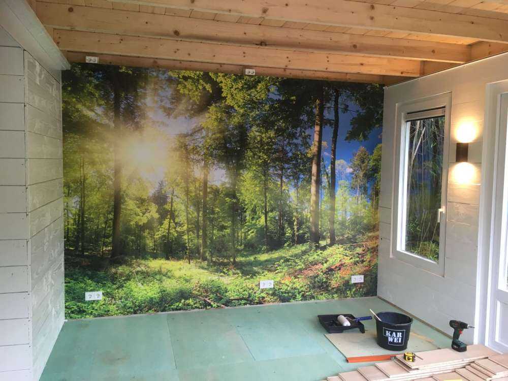 Wald mit Sonnenstrahlen