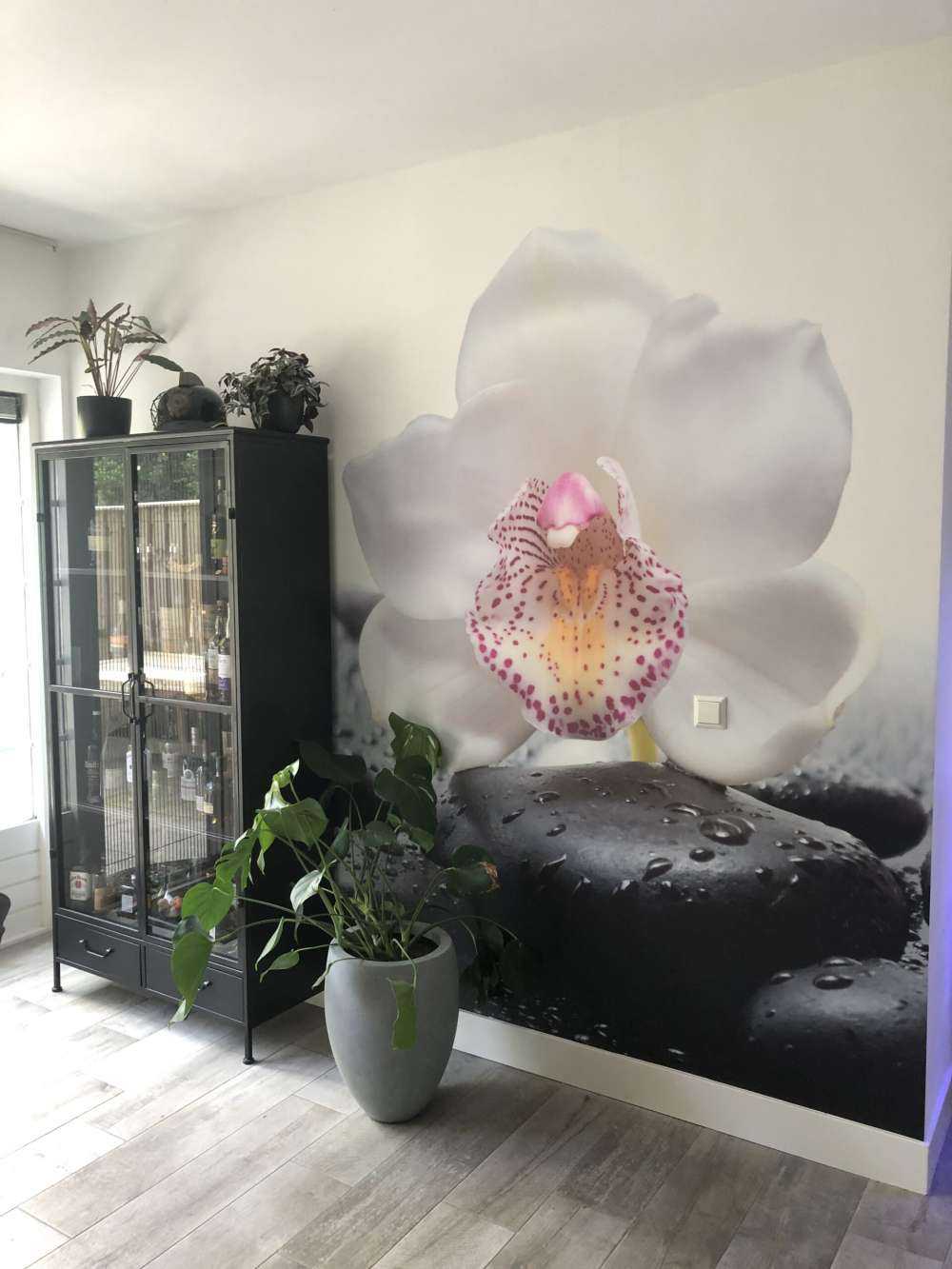 Weiße Orchidee auf Fototapete