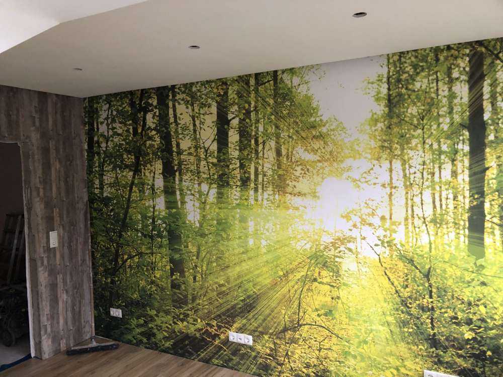Sonnenstrahlen in einem grünen Wald