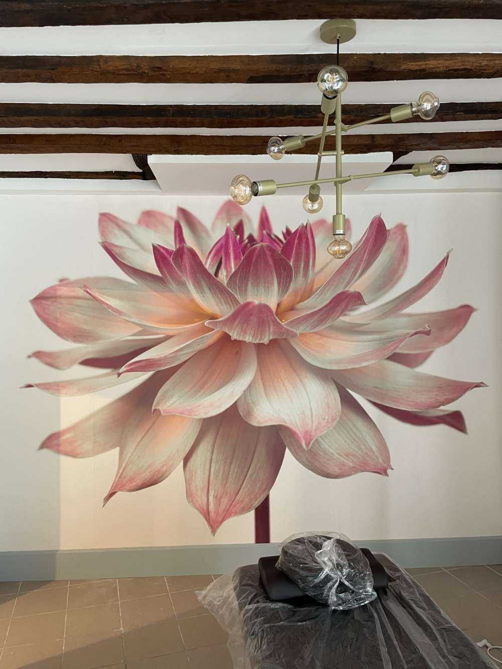 Dahlienblüte