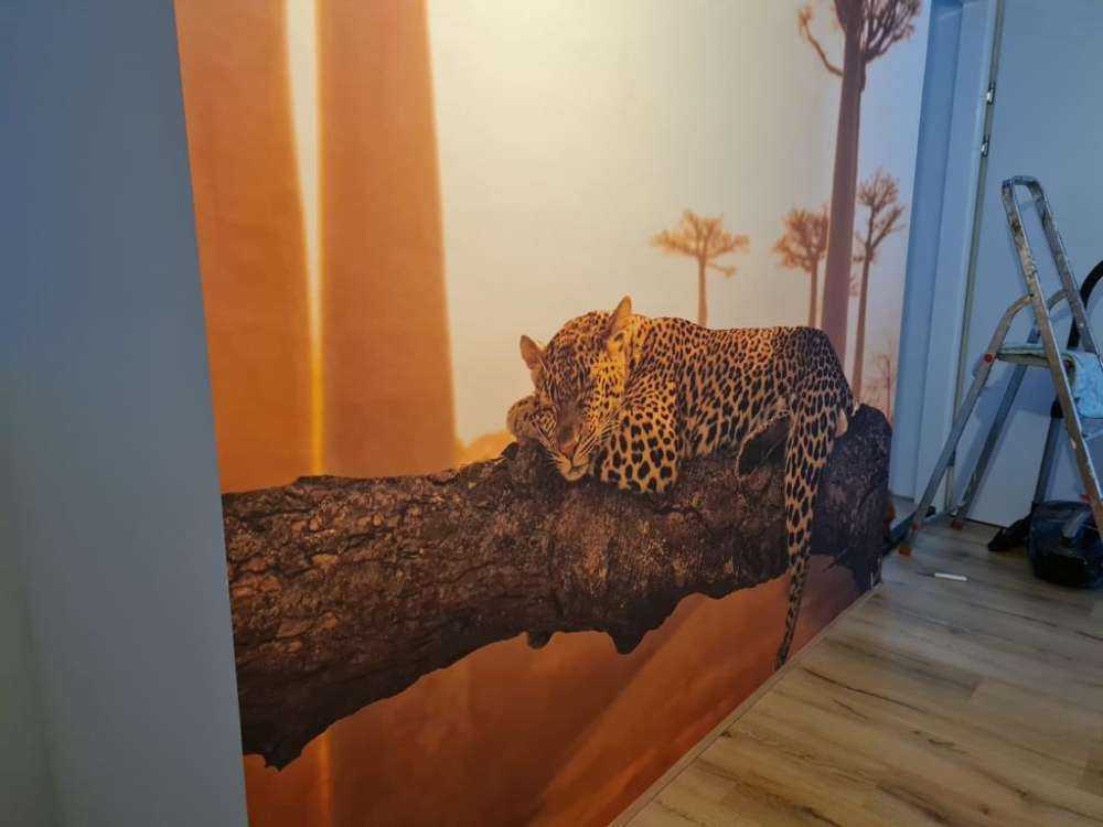 Schlafender Leopard