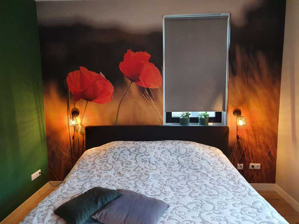Mohn auf einem Weizenfeld