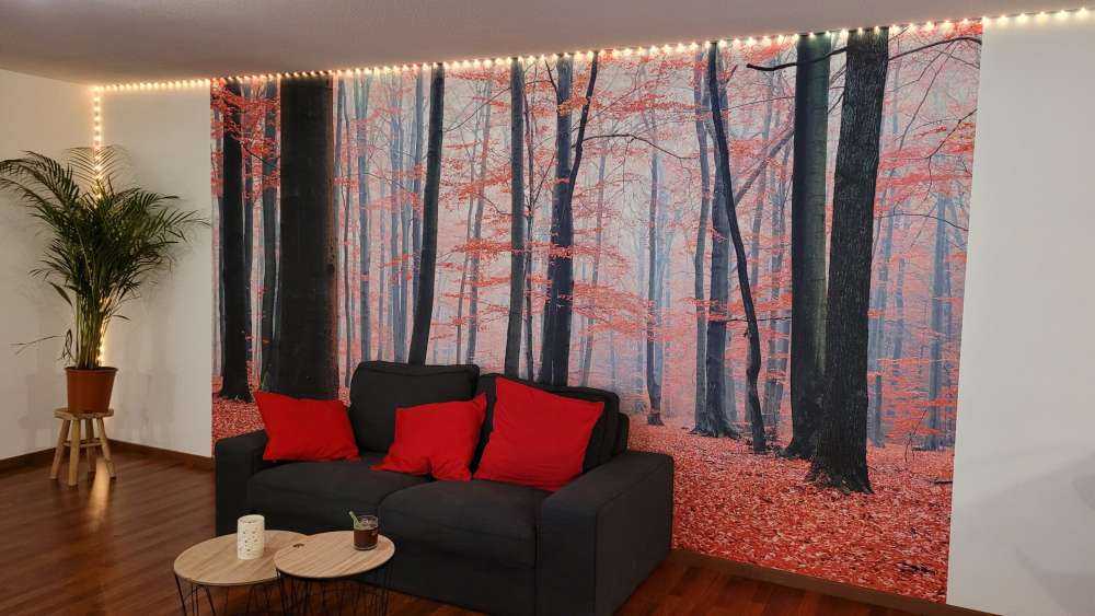 Roter Wald