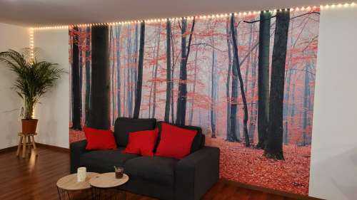 Roter Wald