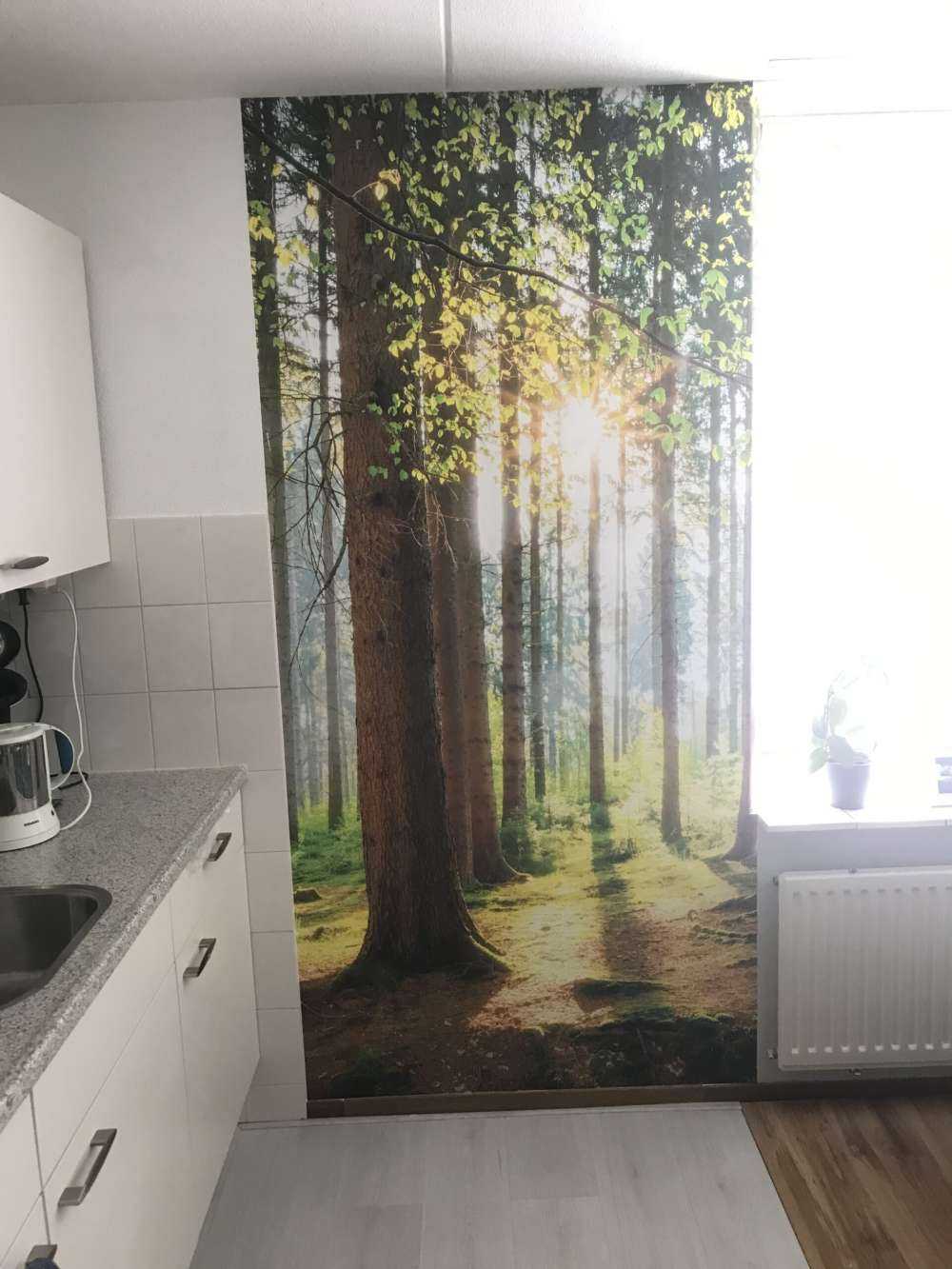 Sonnenaufgang im Wald
