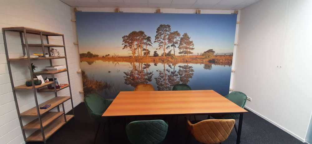 Spiegelung im Waldsee