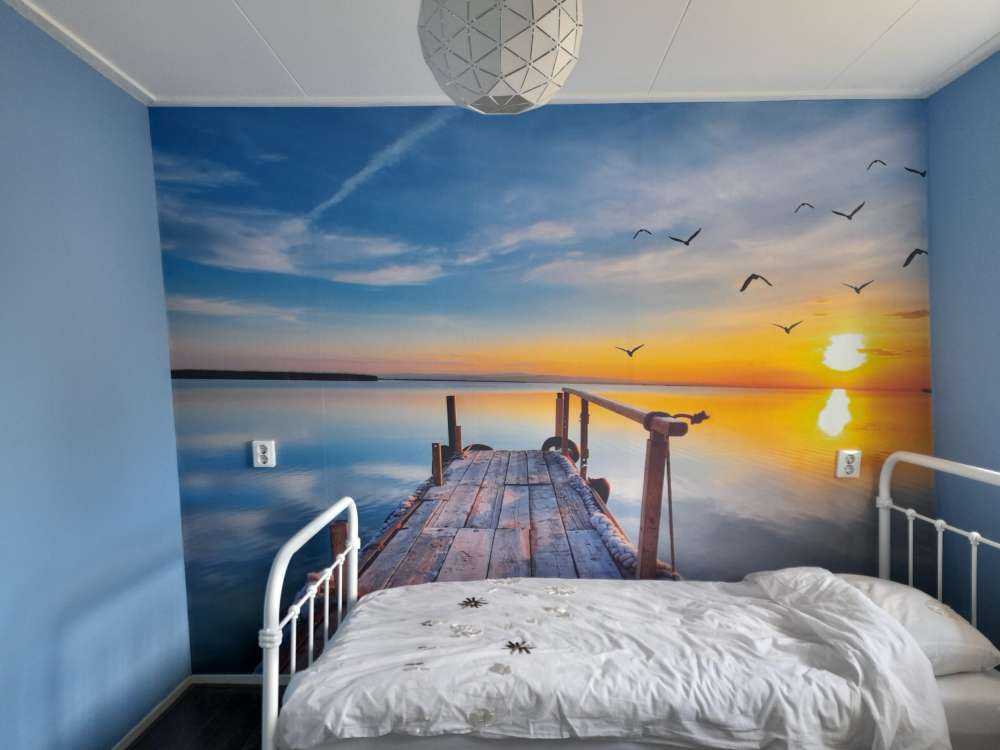 Vögel über dem See