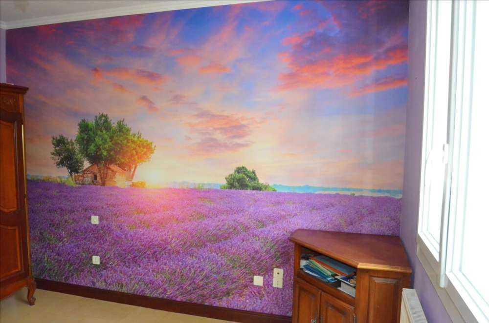 Lavendelfeld bei Sonnenaufgang