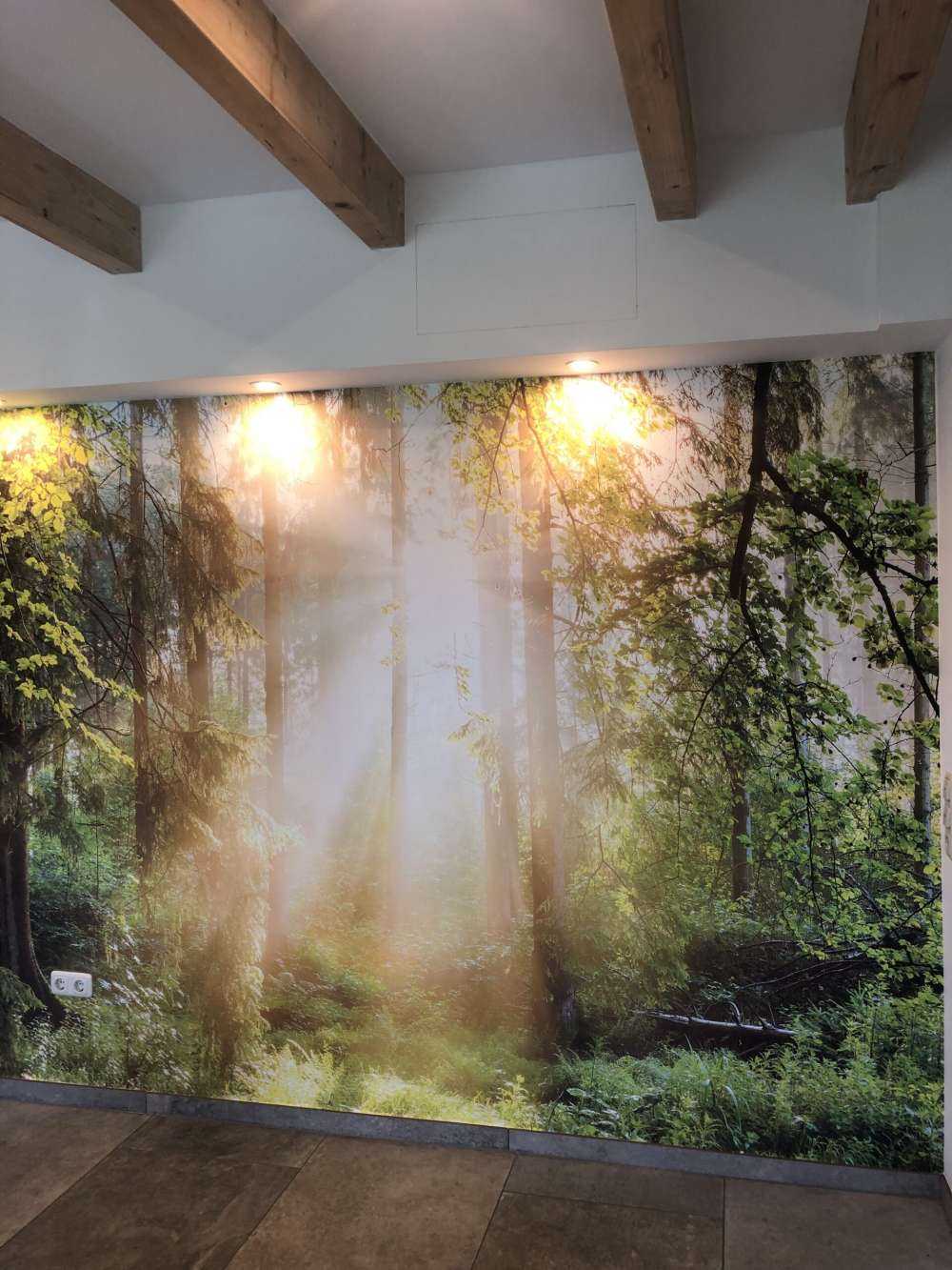 Waldlandschaft bei Sonnenaufgang