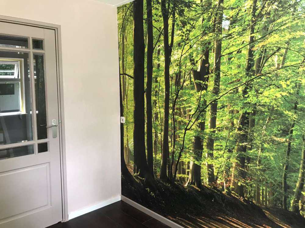 Waldweg