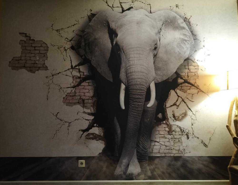 3D Elefant auf Fototapete