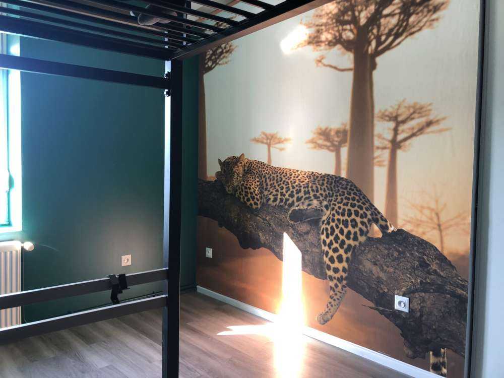 Schlafender Leopard