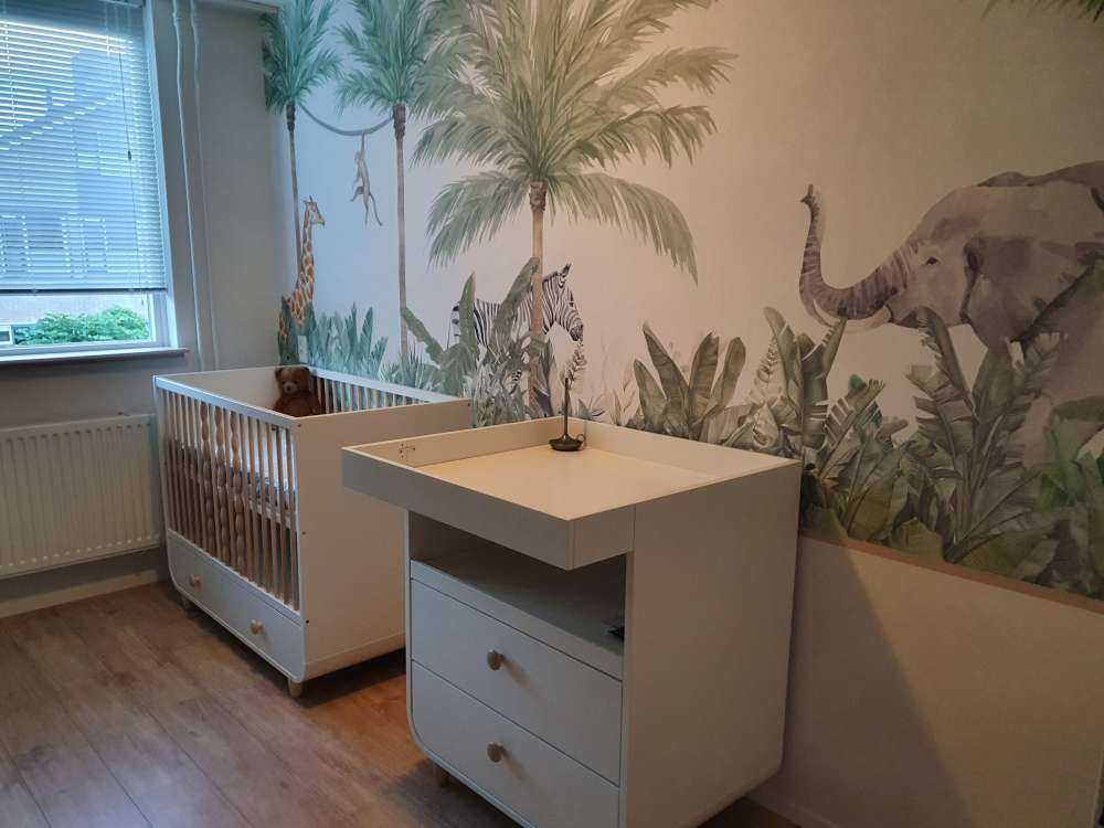 Tiere und Palmen