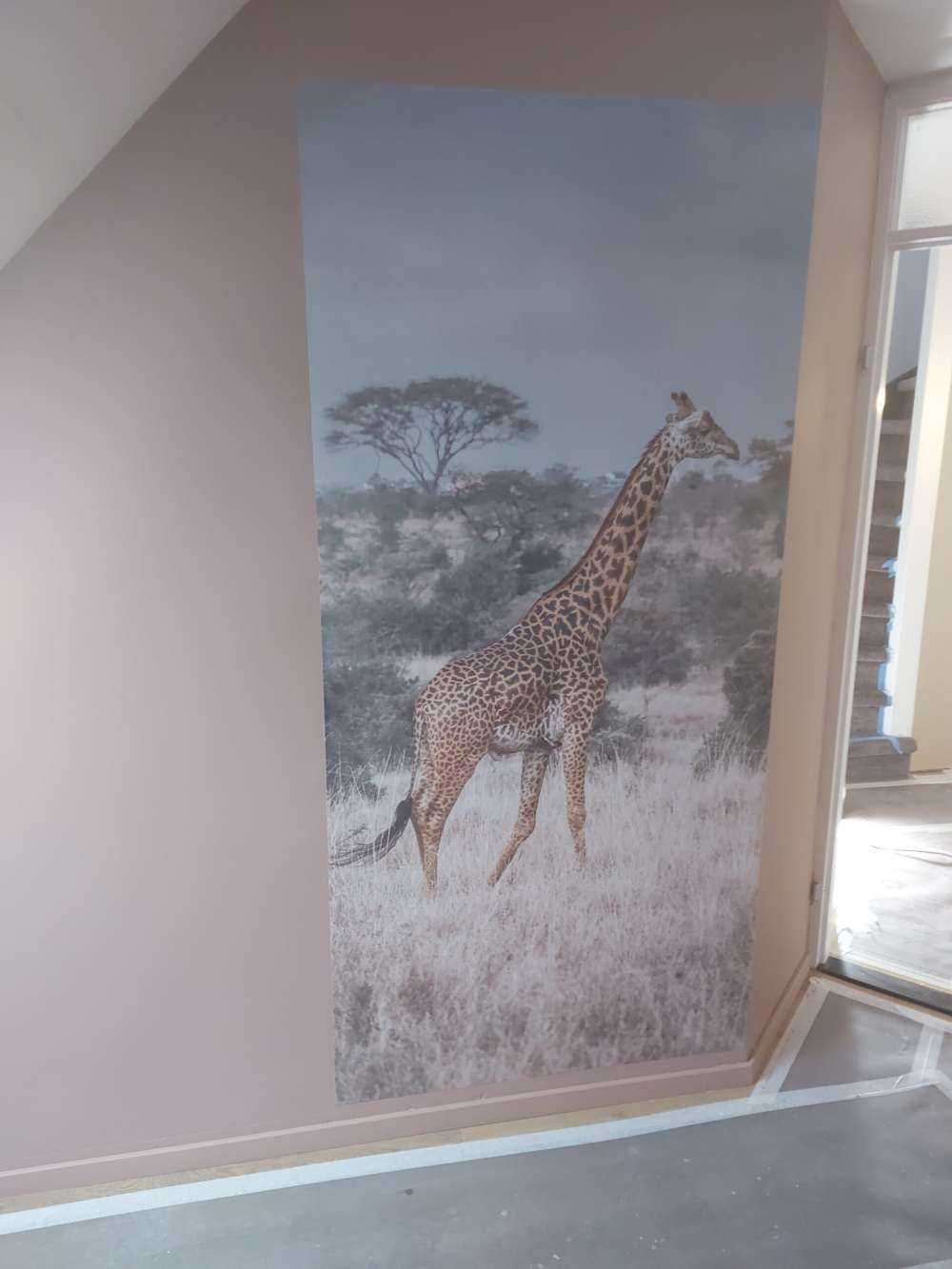 Giraffen-Portrait