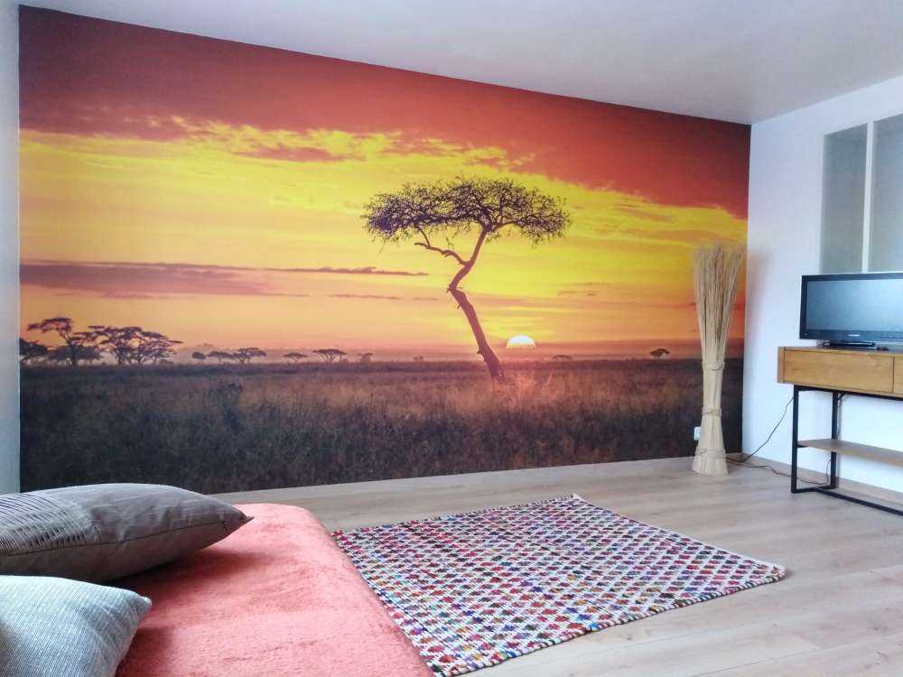 Primordial Africa