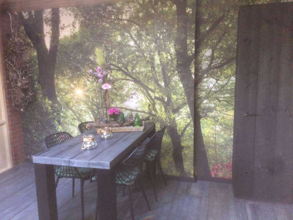 Sonnenaufgang am Pfad mit Rhododendren
