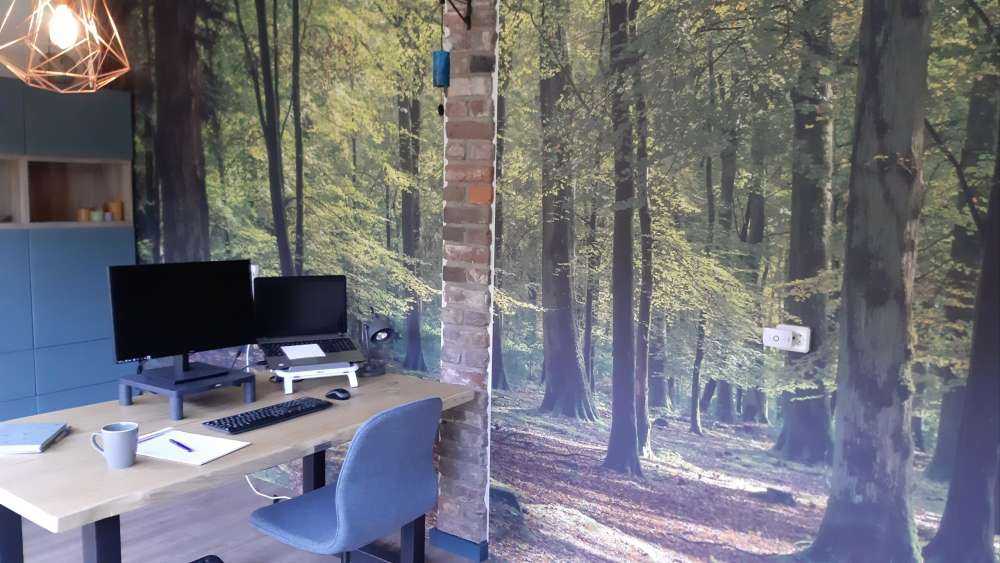 Waldspaziergang
