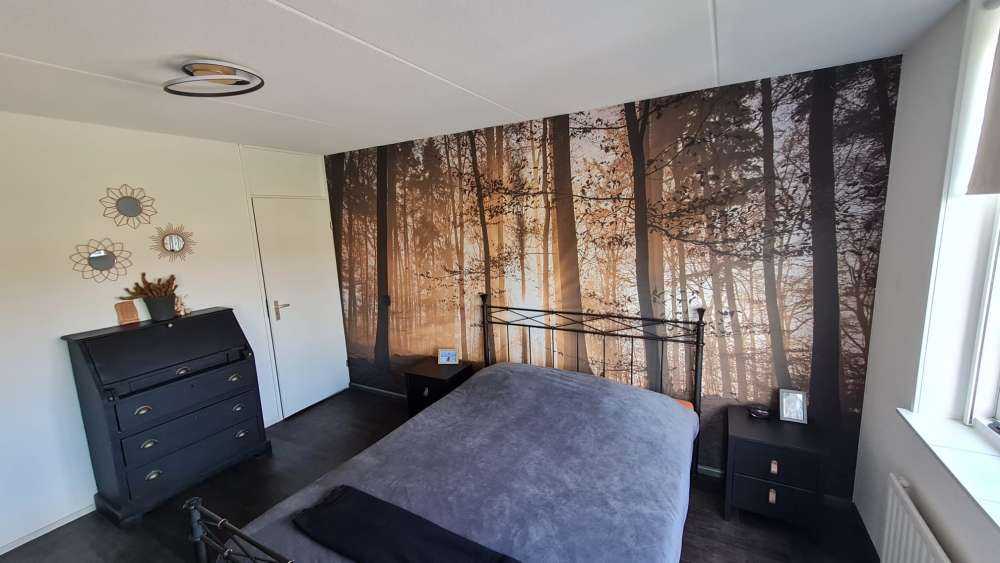 Sonnenstrahlen in einem nebligen Wald