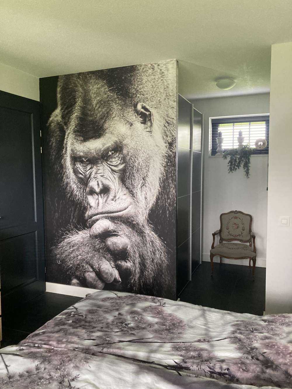 Nahaufnahme Gorilla