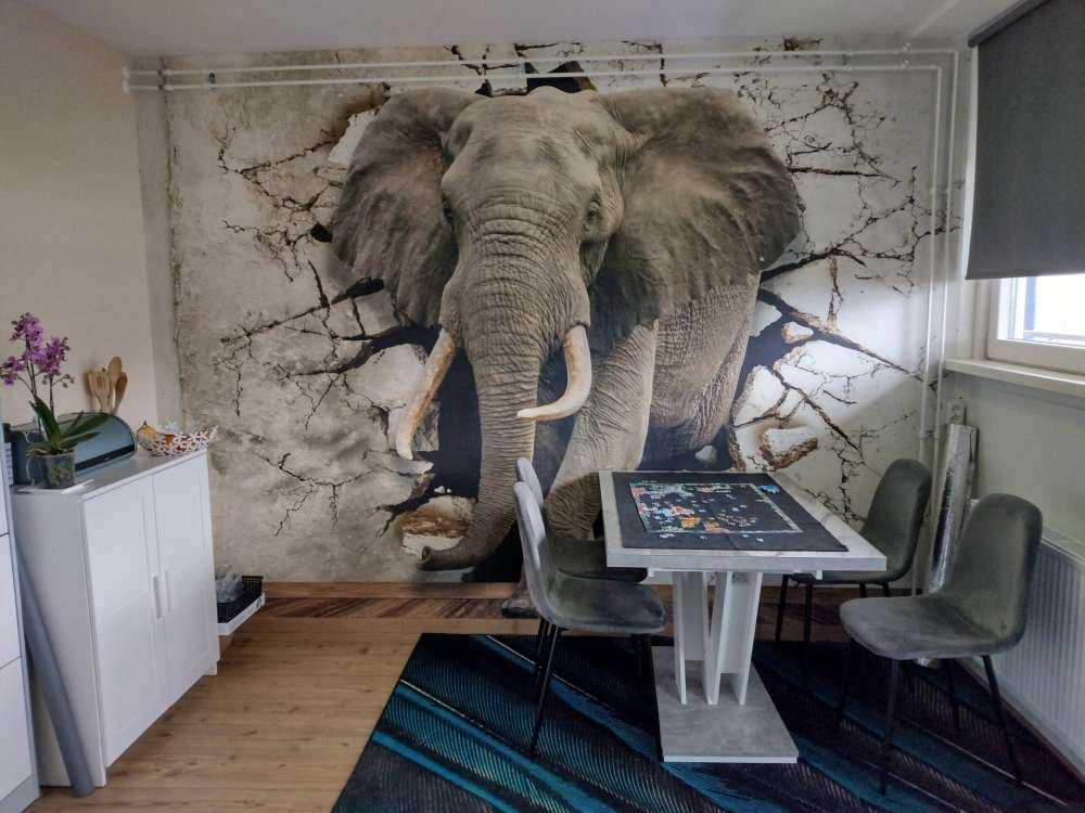 Großer Elefant aus der Wand
