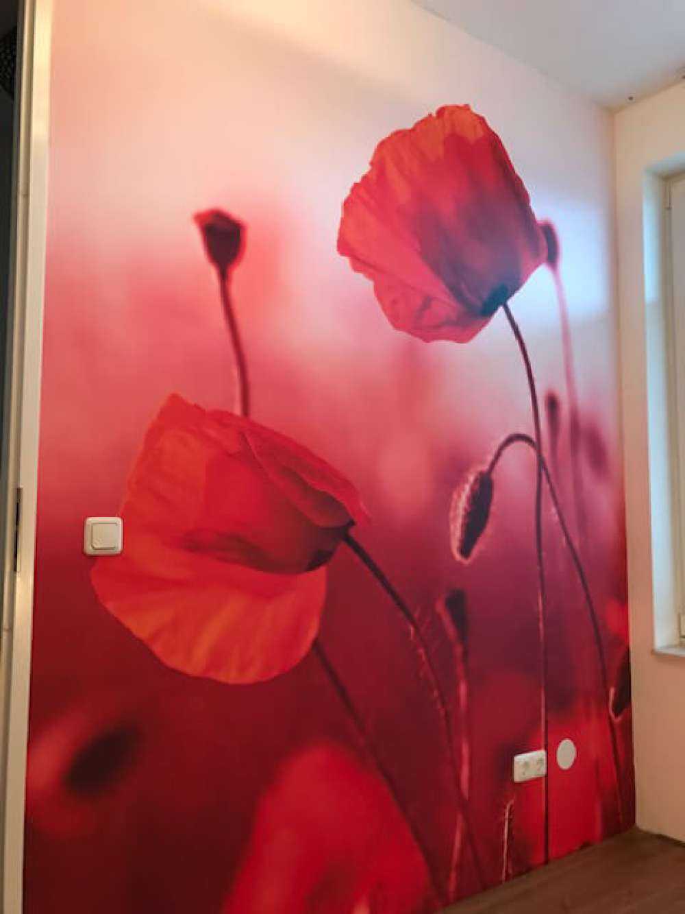 Mohn auf der Wiese