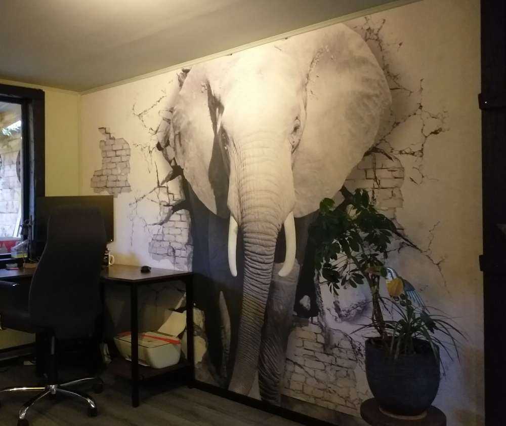 3D Elefant auf Fototapete
