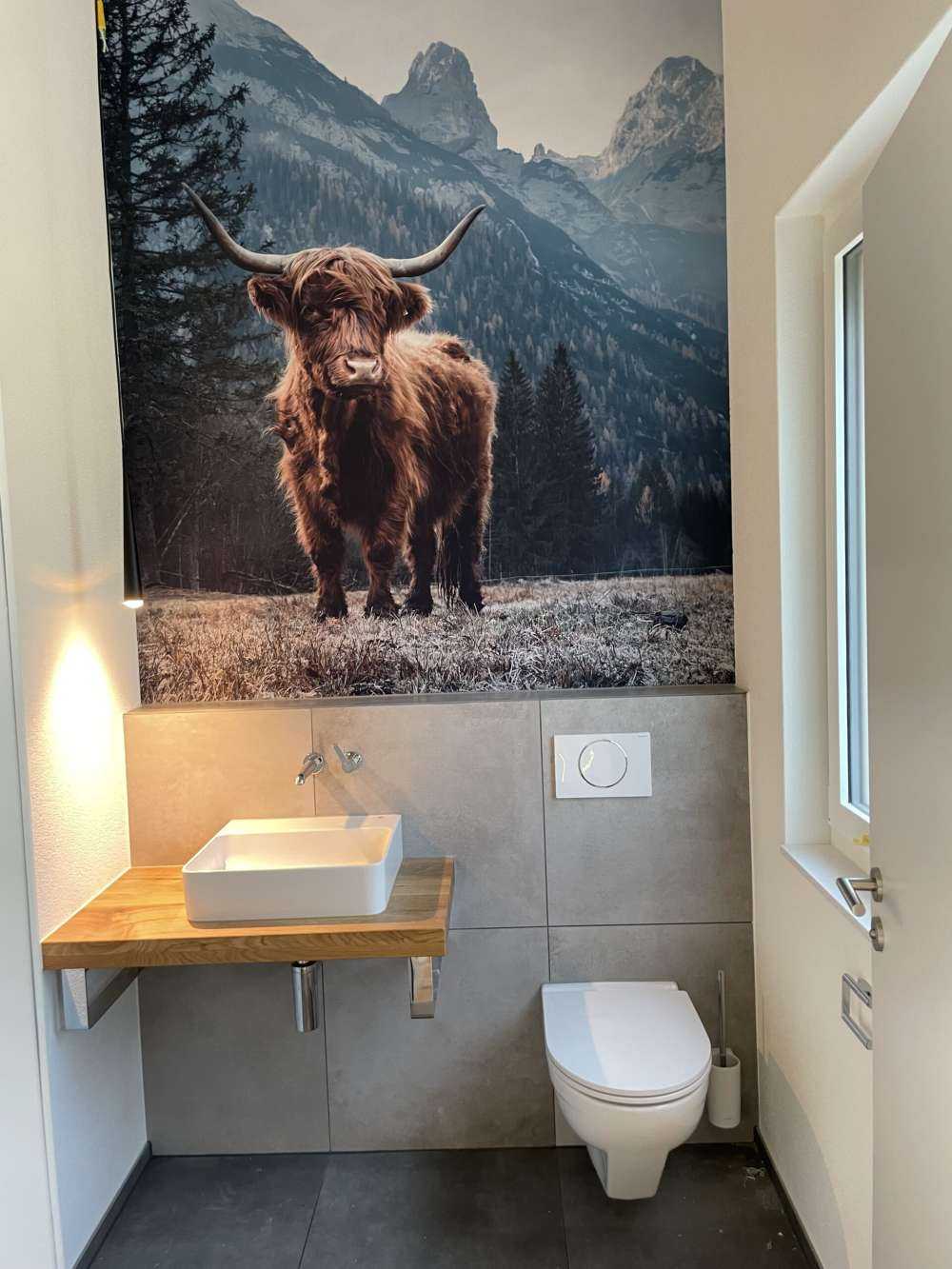 Schottischer Hochländer zwischen den Bäumen