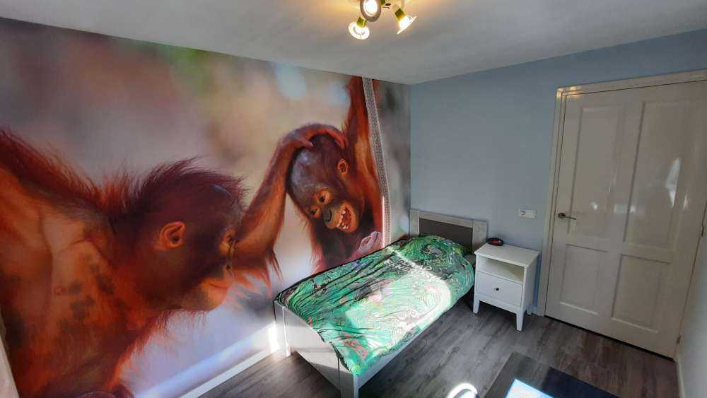 Baby-Orang-Utans