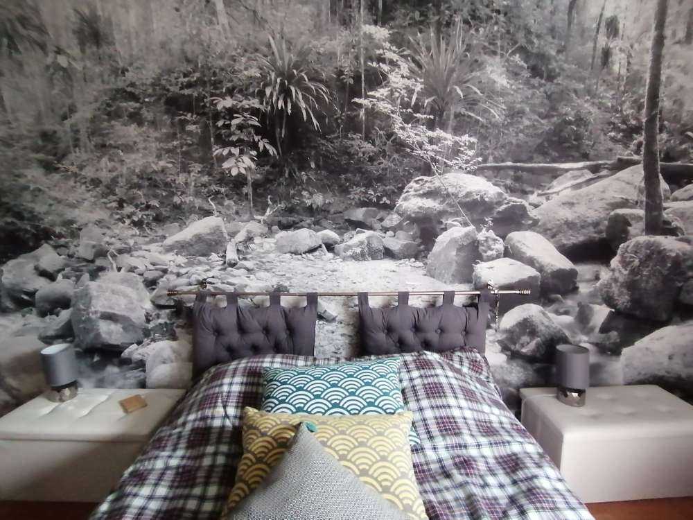 Regenwald auf Fototapete