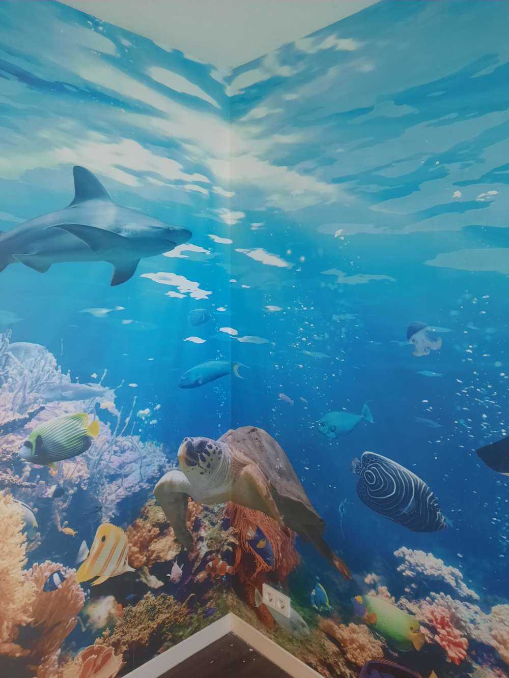 Exotische Fische