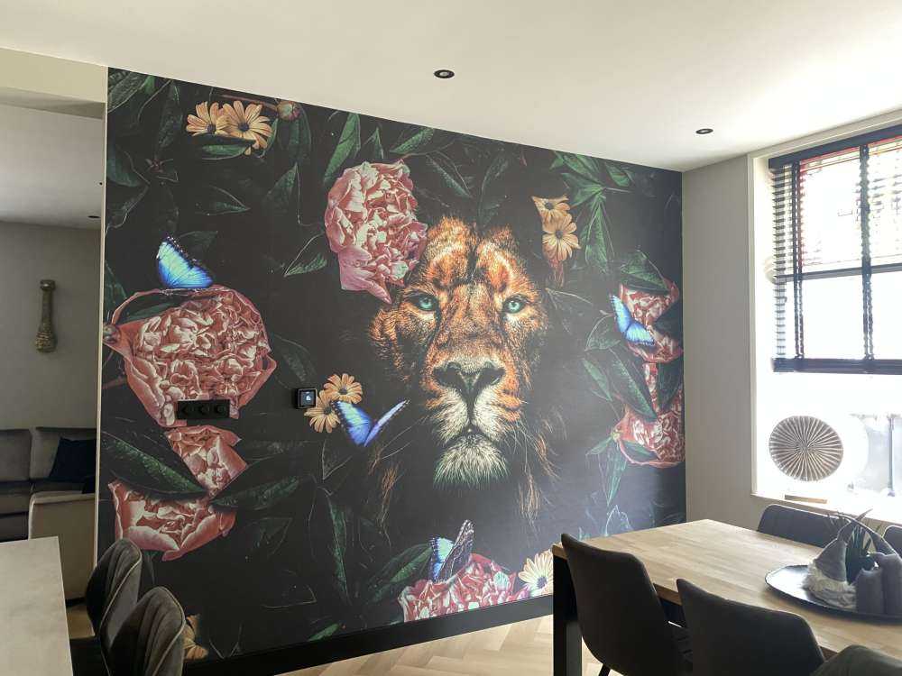 Jungle Lion