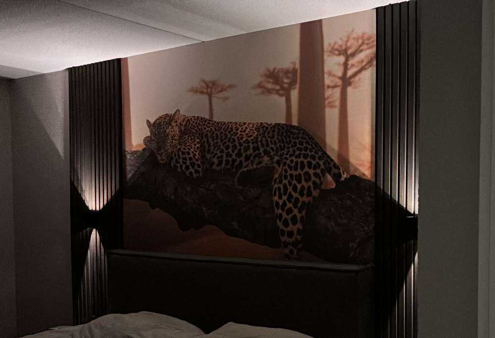 Schlafender Leopard