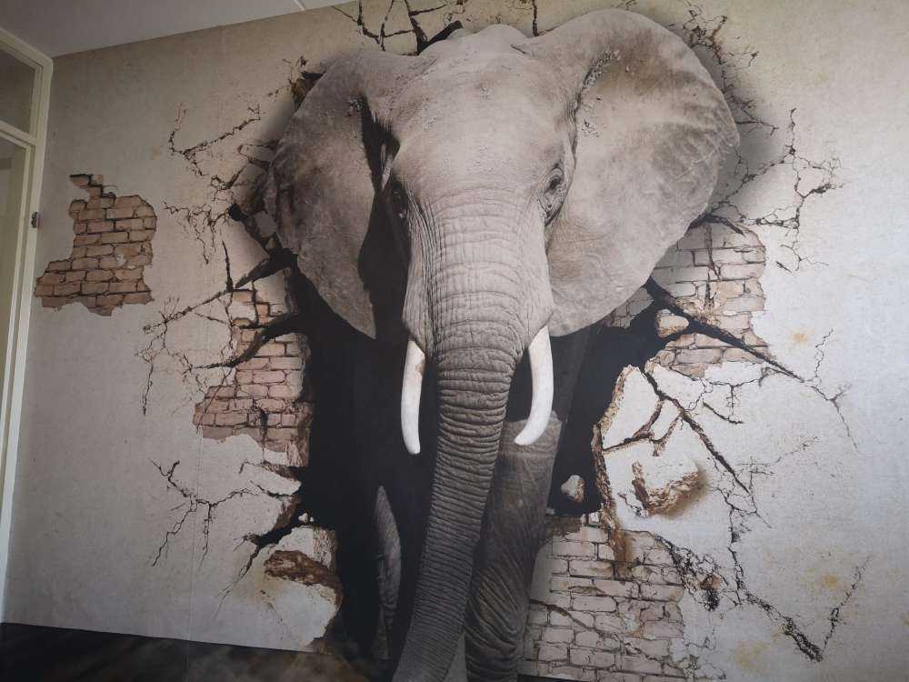 3D Elefant auf Fototapete