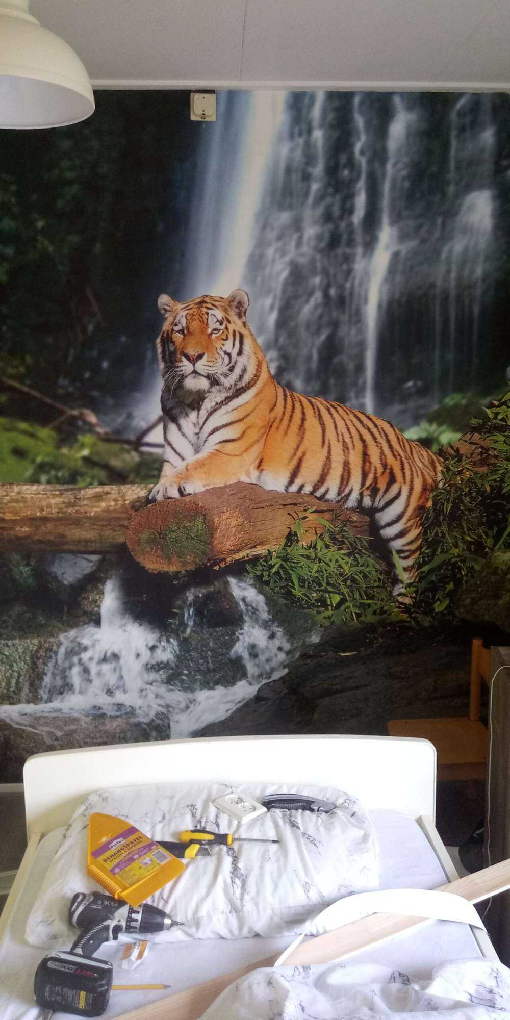 Tiger im Dschungel