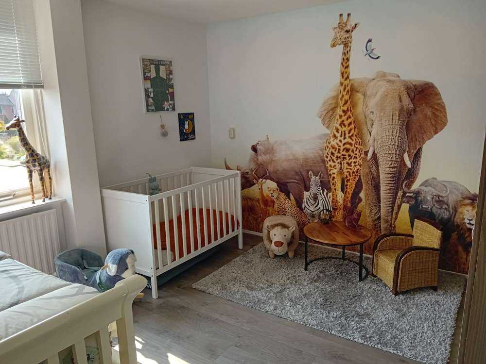 Tiere in der Savanne