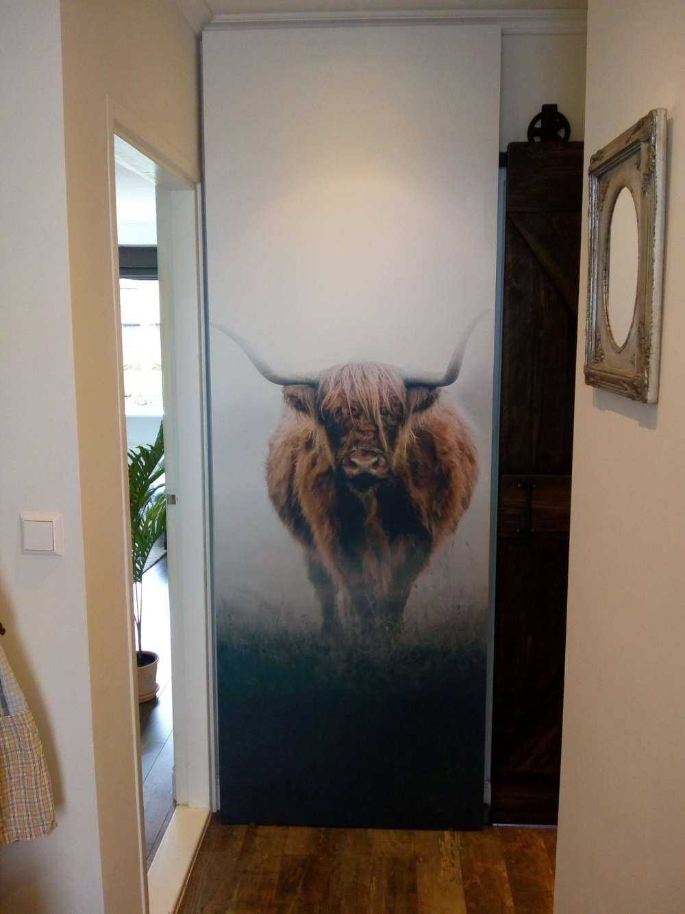 Schottischer Hochländer im dichten Nebel