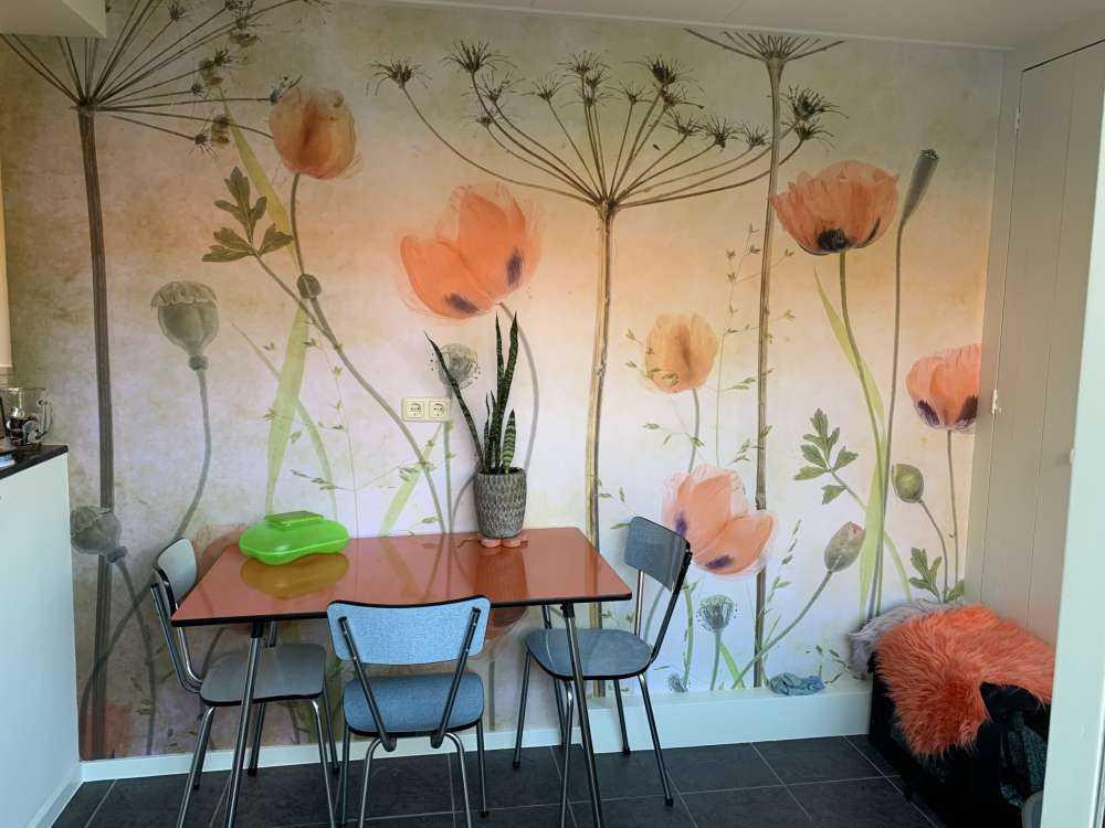 Poppy Meadow