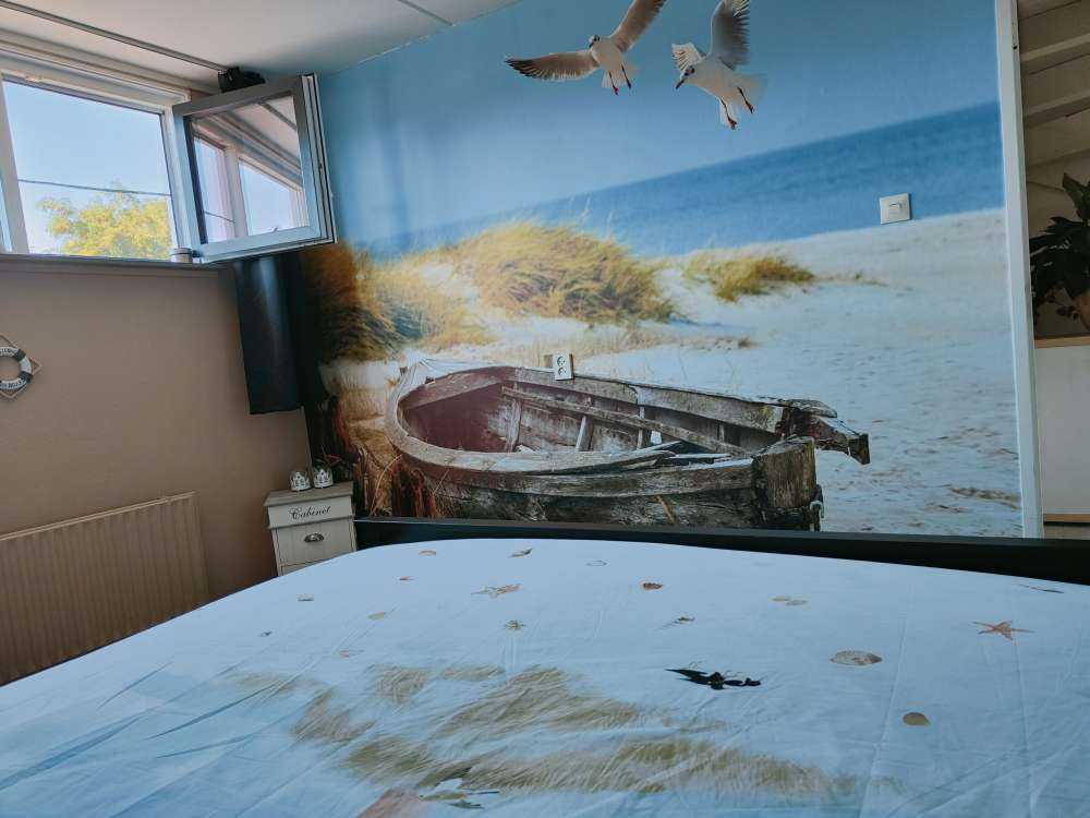 Möven, Strand und Meer