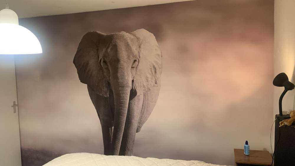 Schöner Elefant
