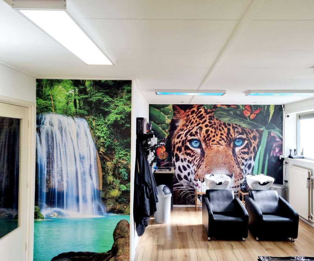 Jungle Leopard