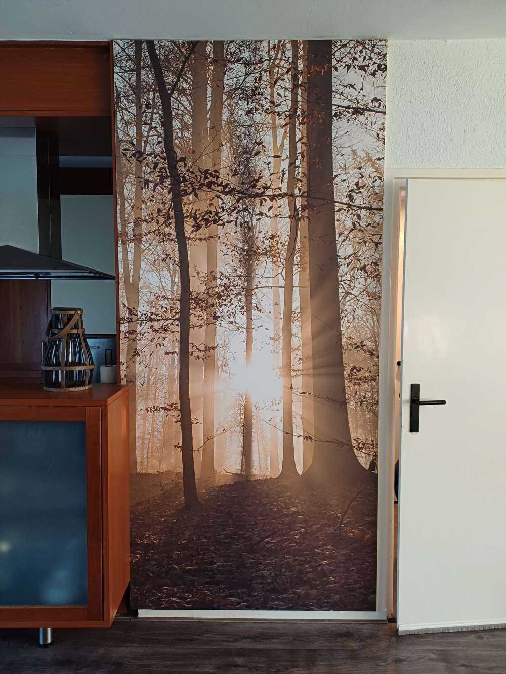 Sonnenstrahlen in einem nebligen Wald