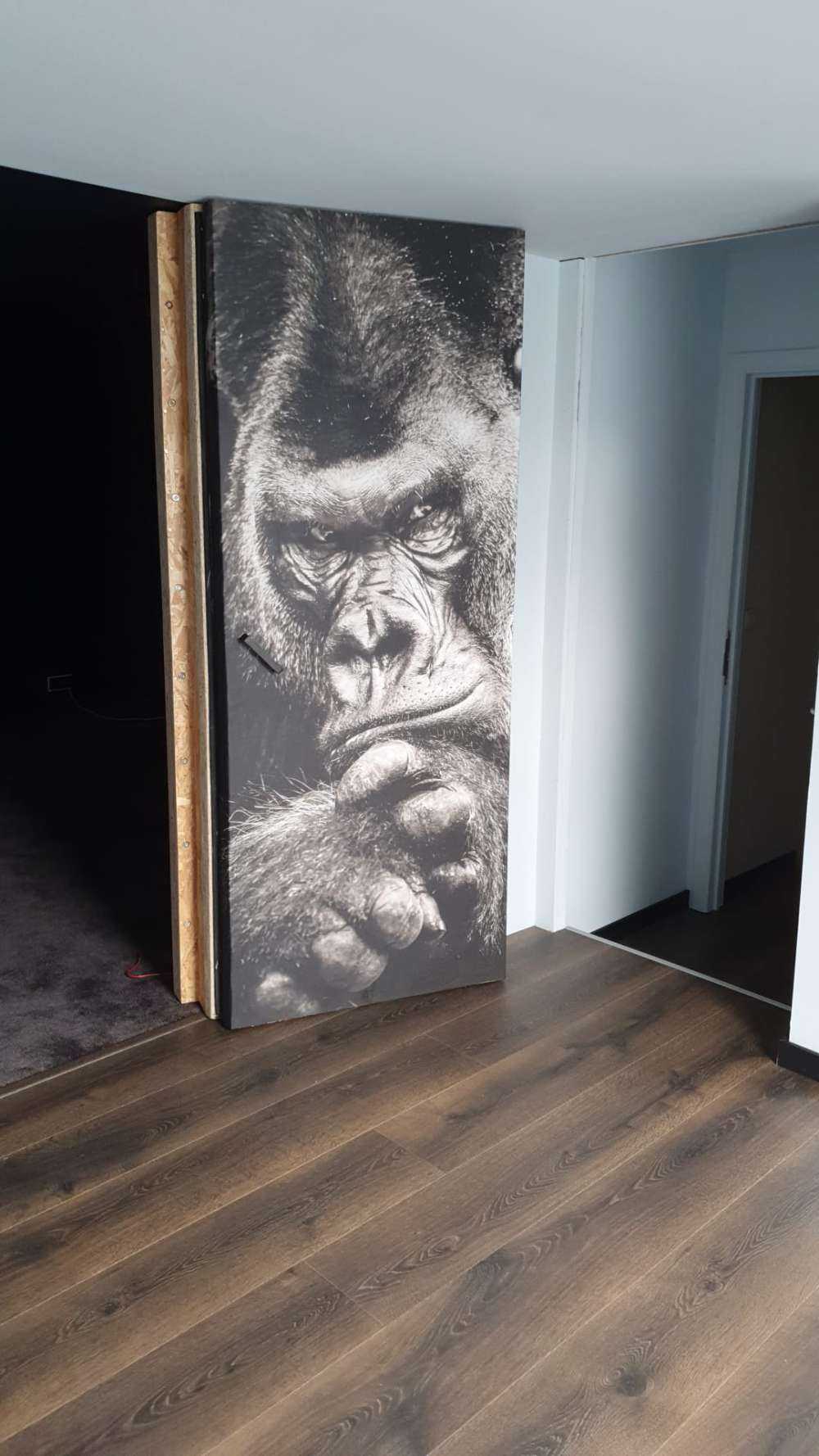 Nahaufnahme Gorilla