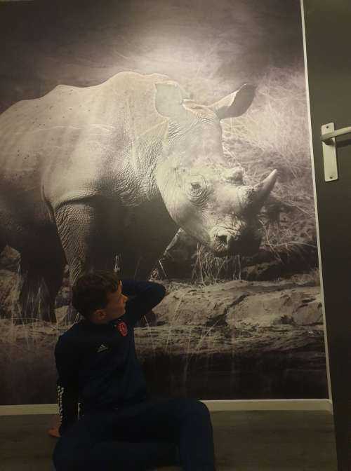 Nashorn
