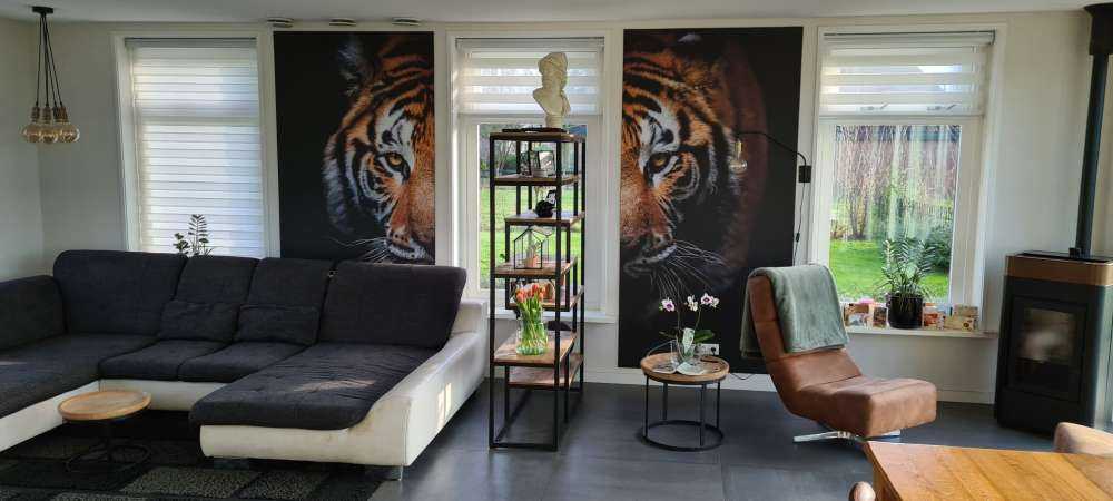 Tiger-Panorama