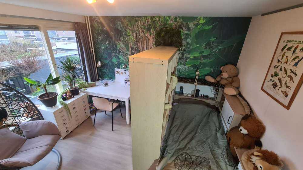 Äste im Regenwald