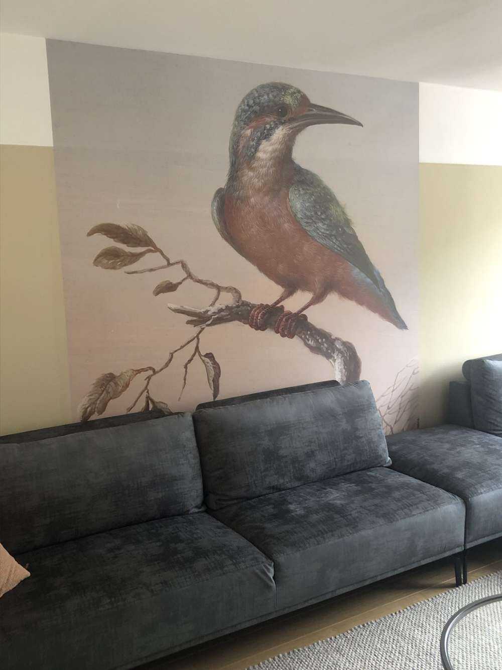Eisvogel auf Fototapete