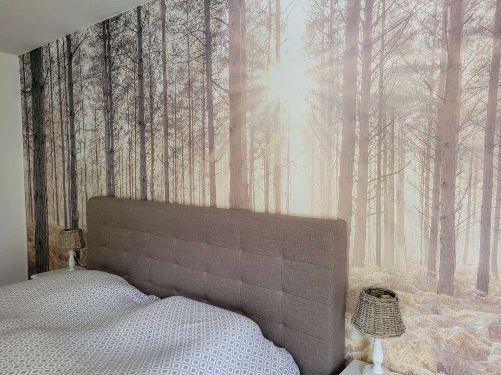Sonnenstrahlen im kalten Wald