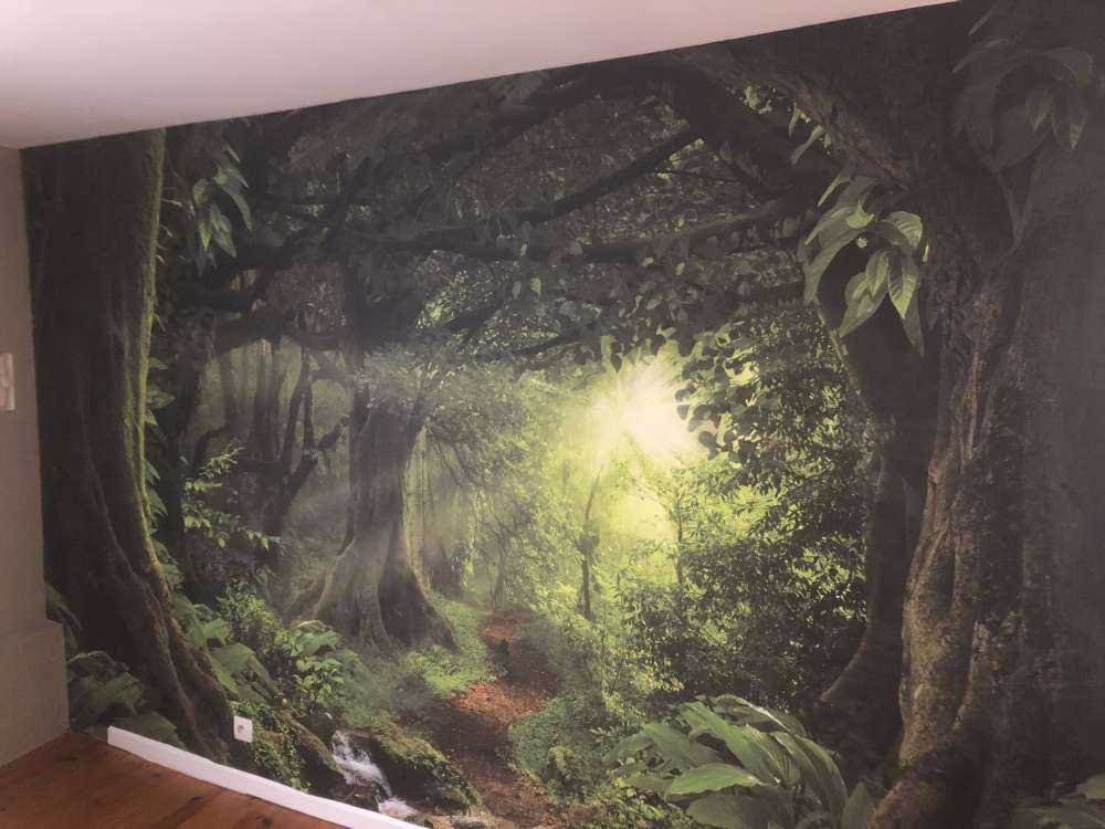Tropischer Dschungel mit Sonnenlicht