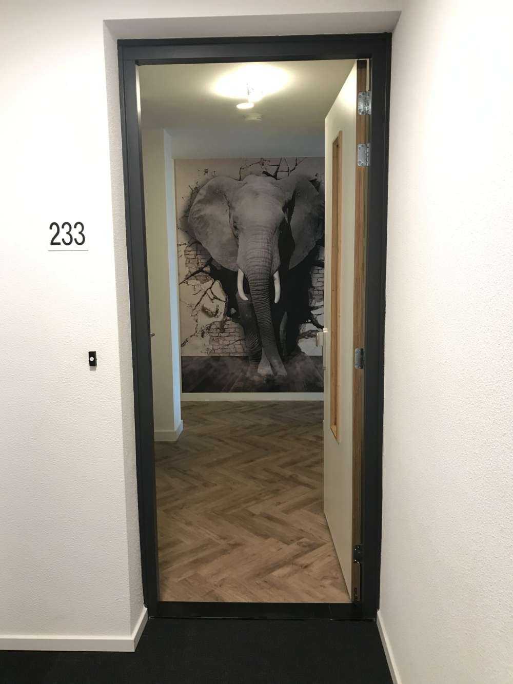3D Elefant auf Fototapete