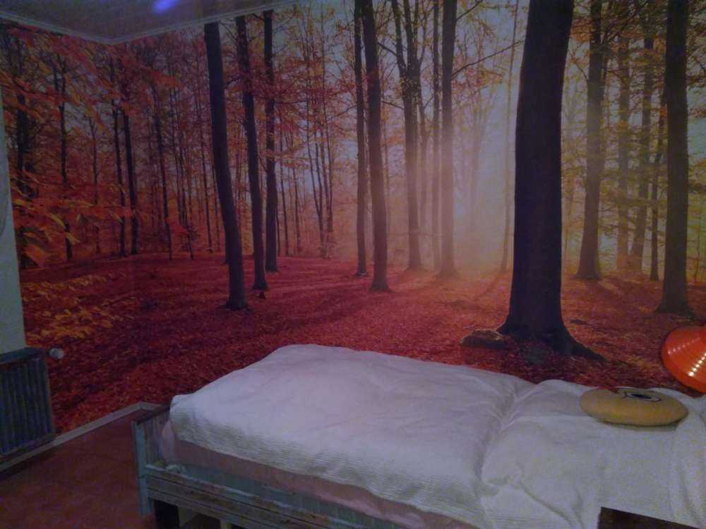 Herbstmorgen im Wald